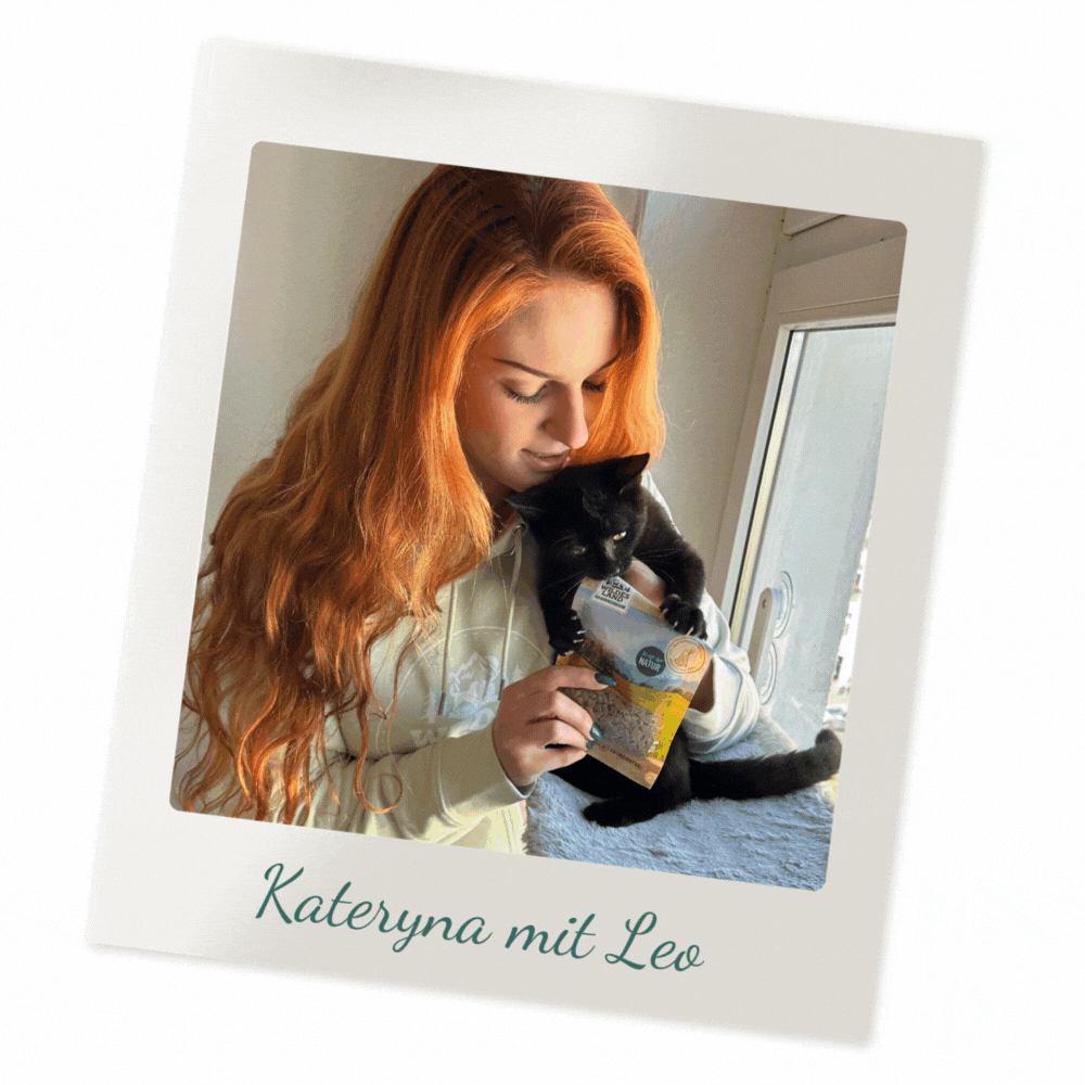 Katy & Leo - Wir stellen uns vor